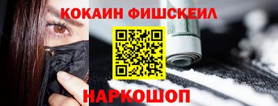 соль ск Партизанск