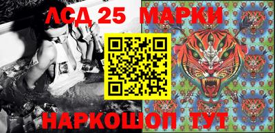 шишки Пенза