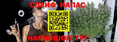 шишки Пенза
